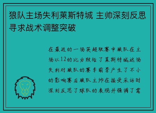 狼队主场失利莱斯特城 主帅深刻反思寻求战术调整突破